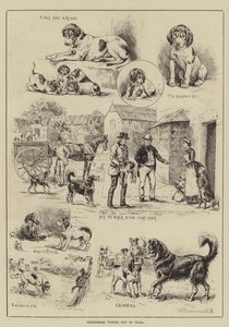 Chiots de Cottesmore mis en promenade - S.T. Dadd